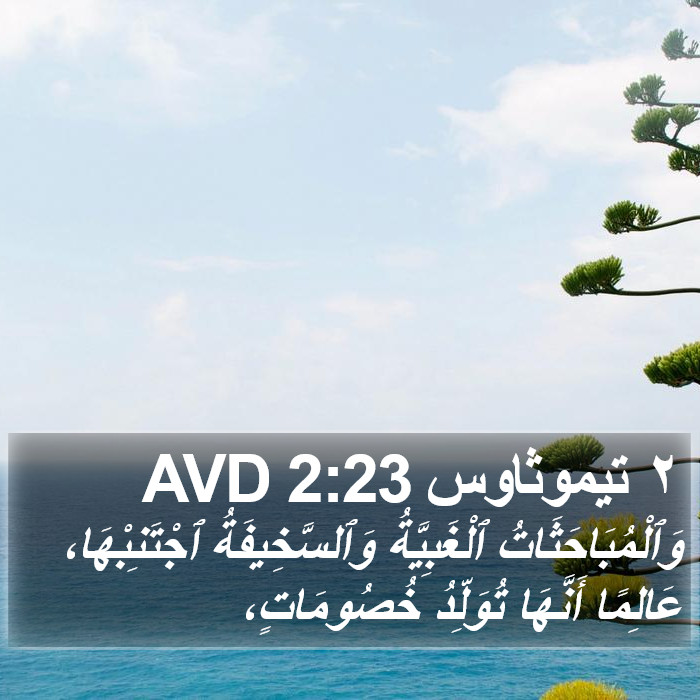 ٢ تيموثاوس 2:23 AVD Bible Study