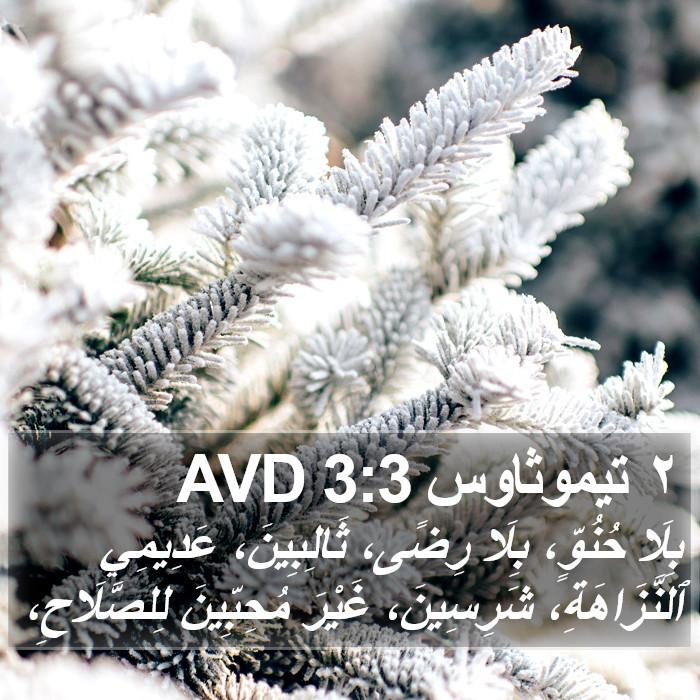 ٢ تيموثاوس 3:3 AVD Bible Study