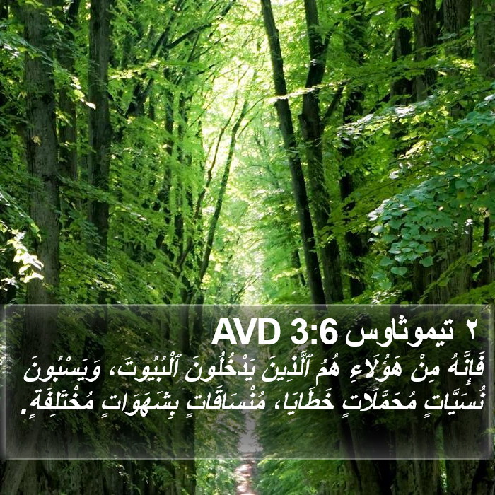 ٢ تيموثاوس 3:6 AVD Bible Study