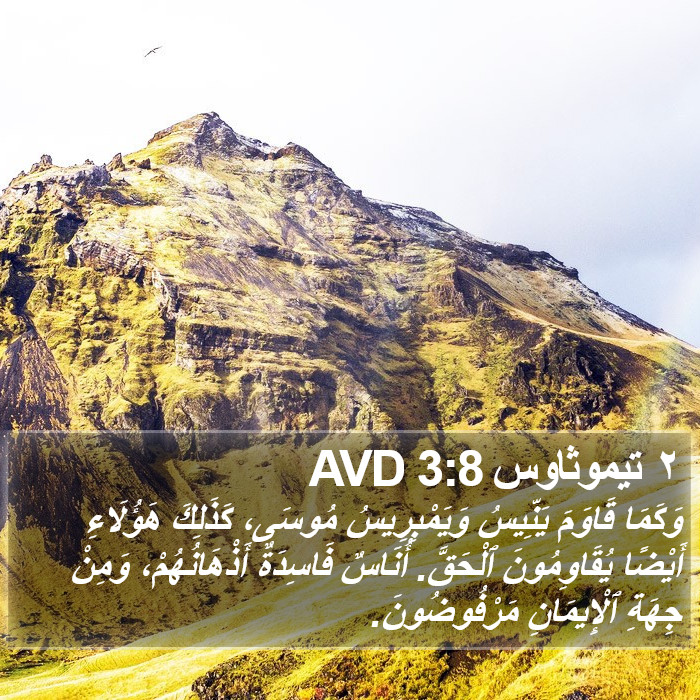 ٢ تيموثاوس 3:8 AVD Bible Study
