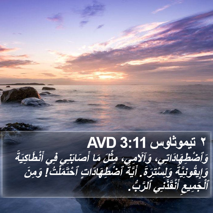 ٢ تيموثاوس 3:11 AVD Bible Study