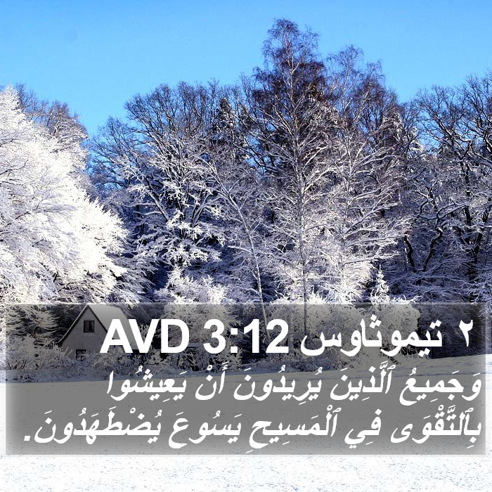 ٢ تيموثاوس 3:12 AVD Bible Study