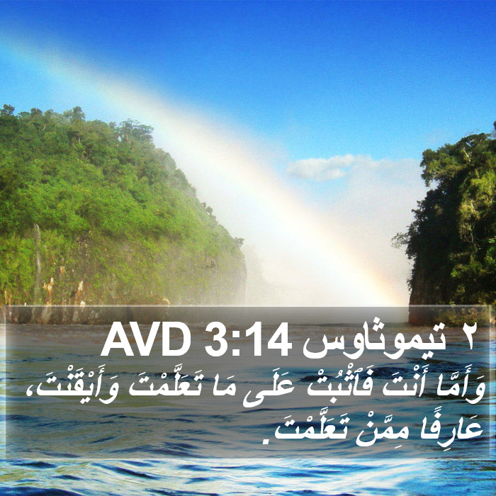 ٢ تيموثاوس 3:14 AVD Bible Study