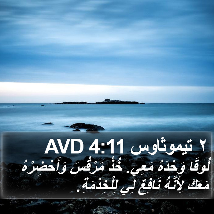 ٢ تيموثاوس 4:11 AVD Bible Study