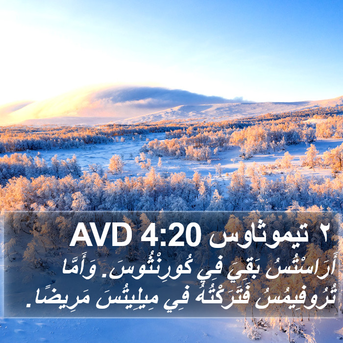 ٢ تيموثاوس 4:20 AVD Bible Study
