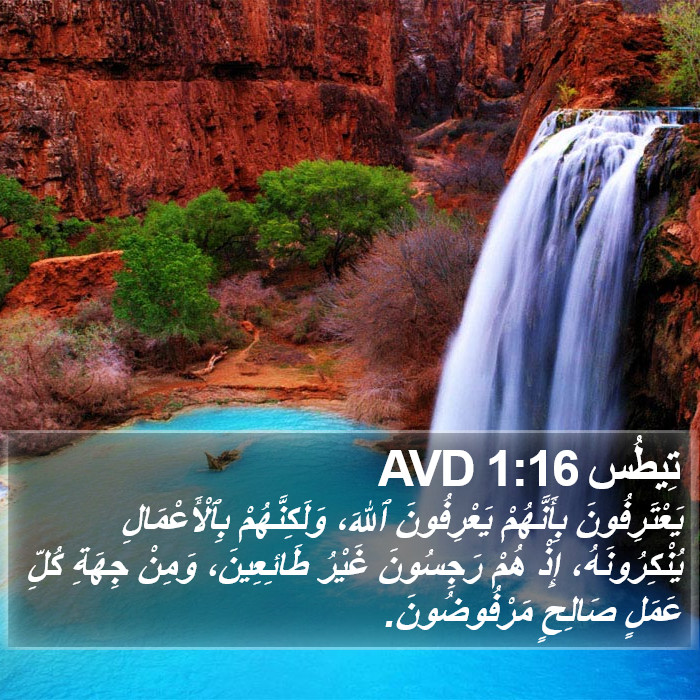 تِيطُس 1:16 AVD Bible Study