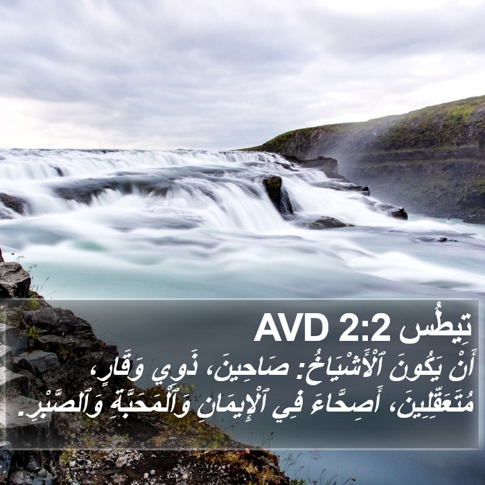 تِيطُس 2:2 AVD Bible Study