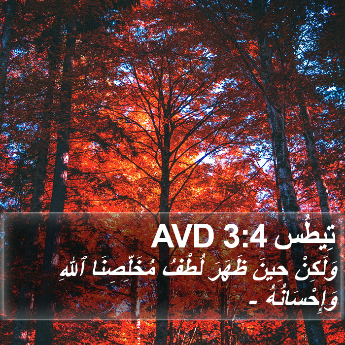 تِيطُس 3:4 AVD Bible Study