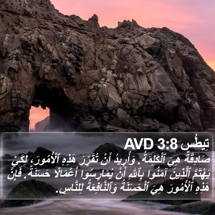 تِيطُس 3:8 AVD Bible Study