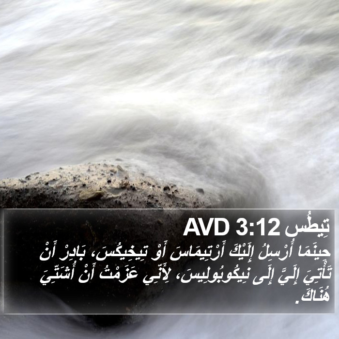 تِيطُس 3:12 AVD Bible Study