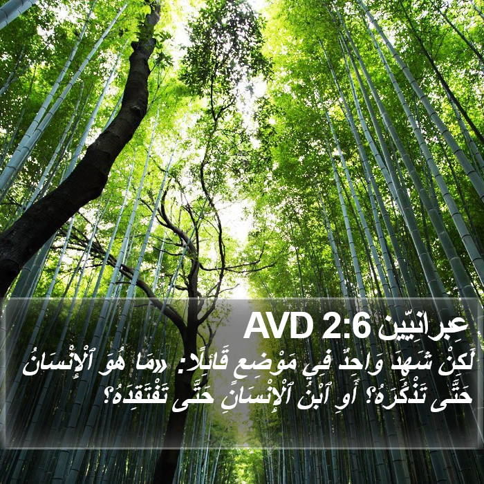 عِبرانِيّين 2:6 AVD Bible Study