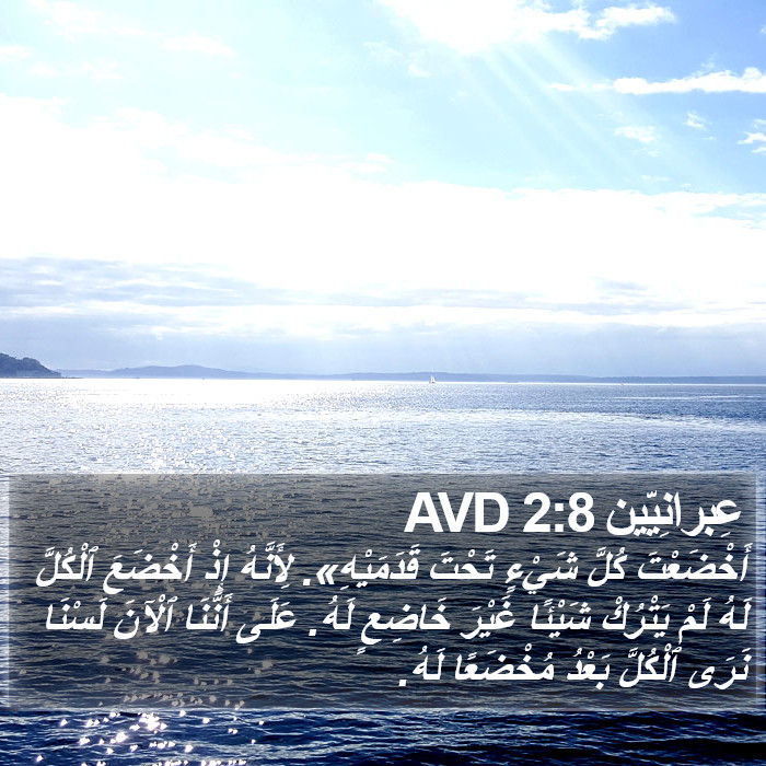 عِبرانِيّين 2:8 AVD Bible Study