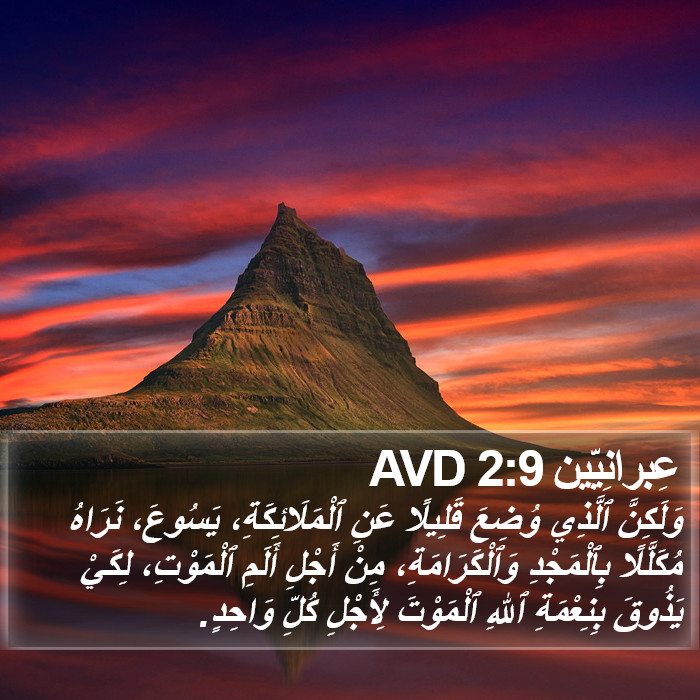 عِبرانِيّين 2:9 AVD Bible Study