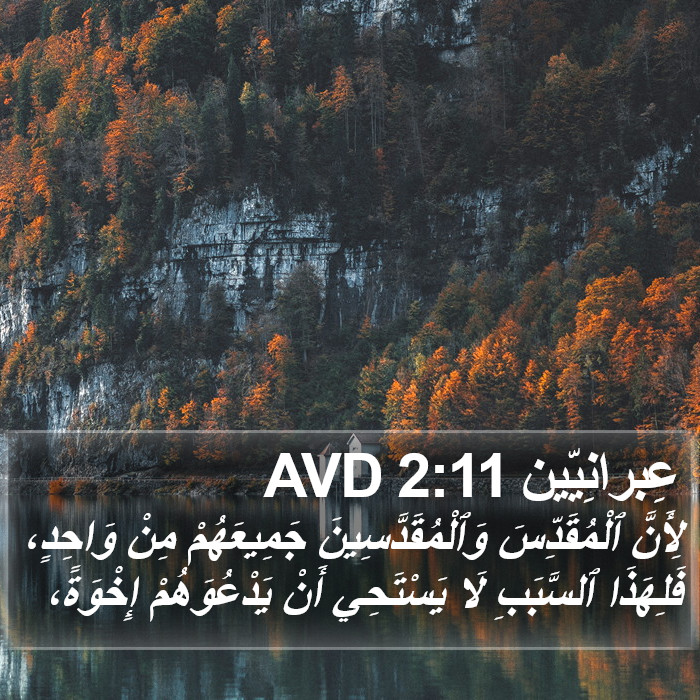 عِبرانِيّين 2:11 AVD Bible Study