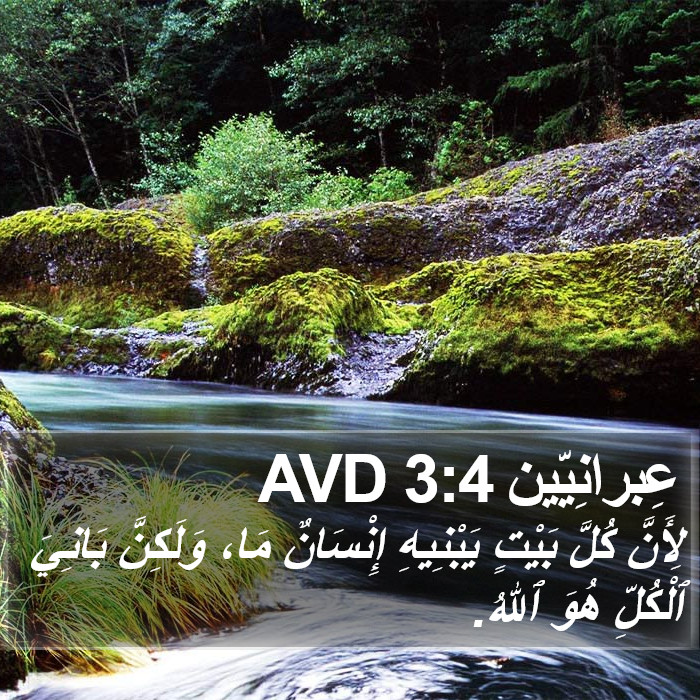 عِبرانِيّين 3:4 AVD Bible Study