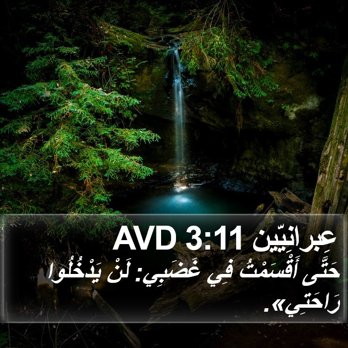 عِبرانِيّين 3:11 AVD Bible Study