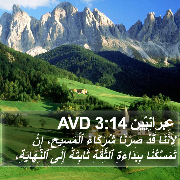 عِبرانِيّين 3:14 AVD Bible Study