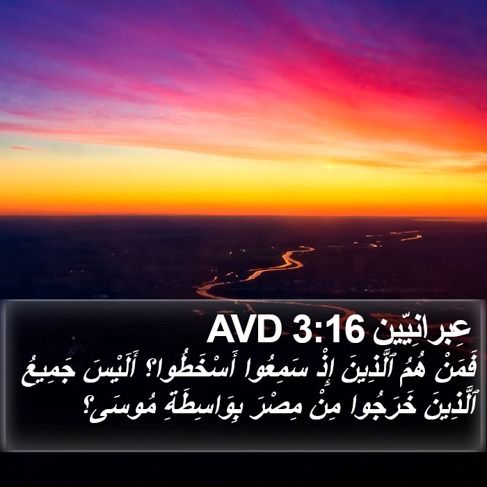 عِبرانِيّين 3:16 AVD Bible Study