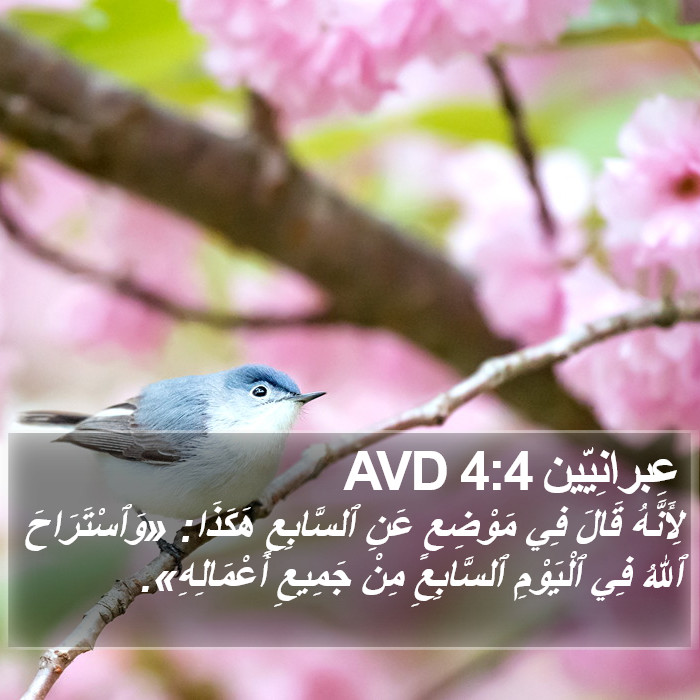عِبرانِيّين 4:4 AVD Bible Study
