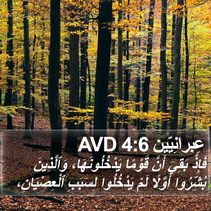 عِبرانِيّين 4:6 AVD Bible Study