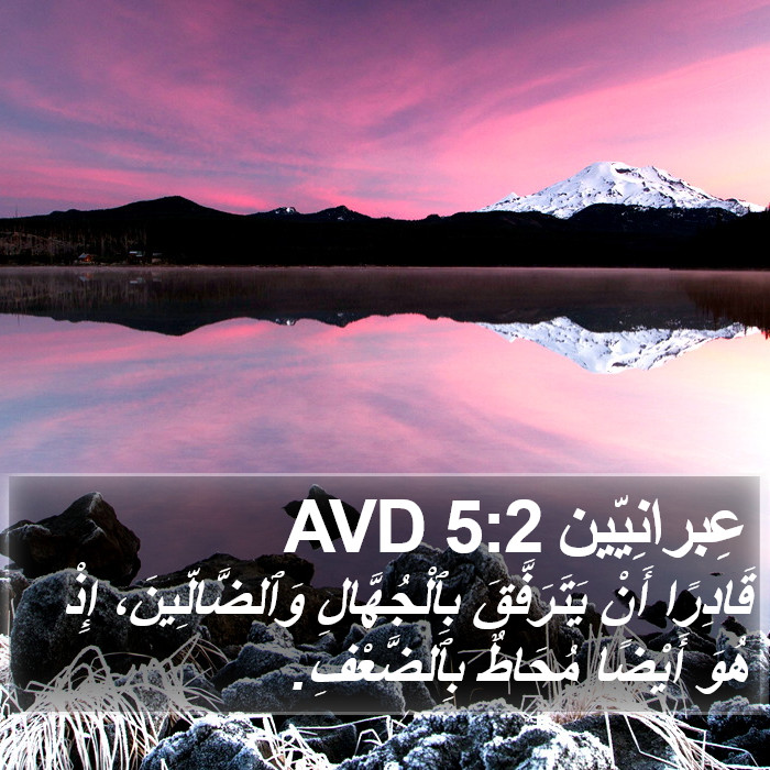 عِبرانِيّين 5:2 AVD Bible Study