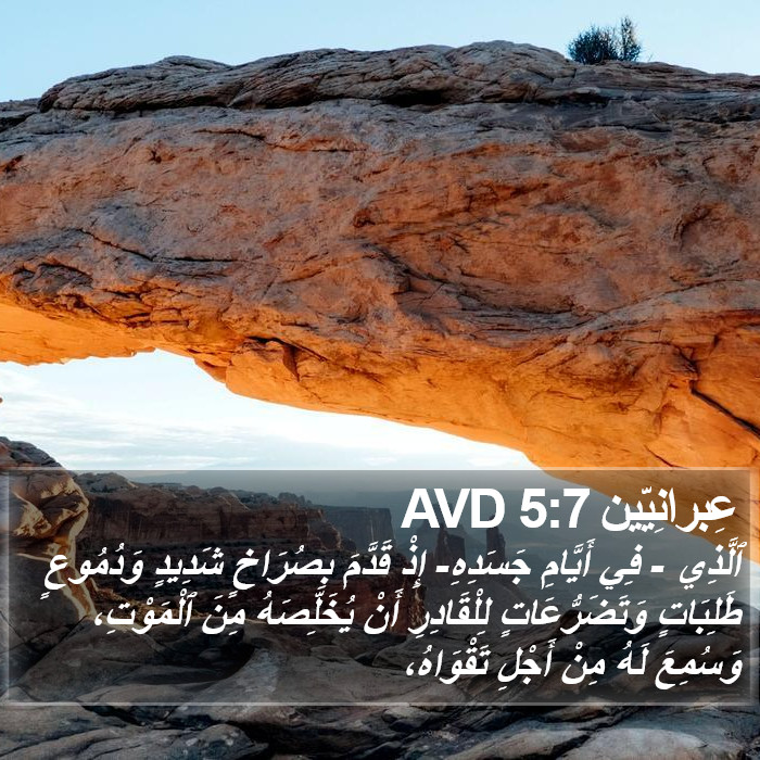 عِبرانِيّين 5:7 AVD Bible Study