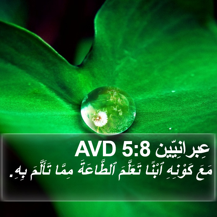 عِبرانِيّين 5:8 AVD Bible Study