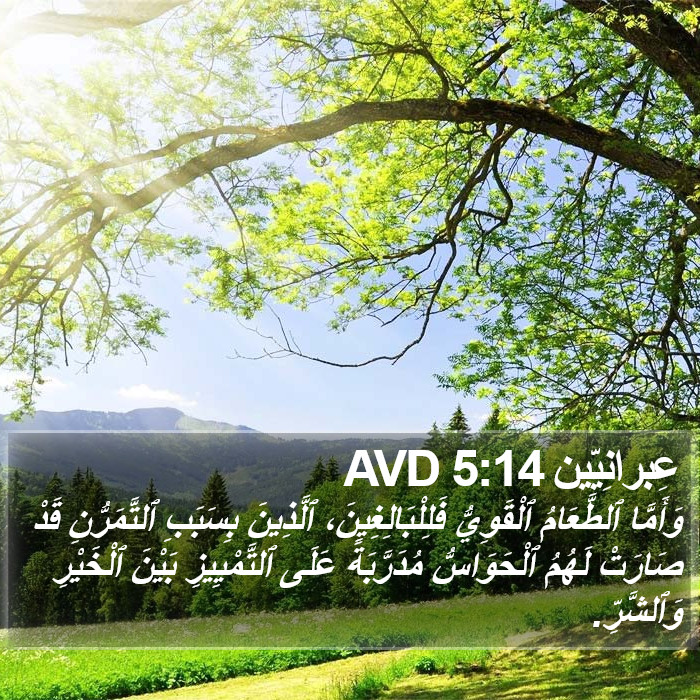 عِبرانِيّين 5:14 AVD Bible Study