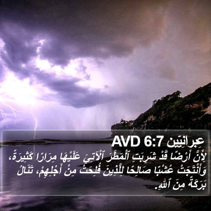 عِبرانِيّين 6:7 AVD Bible Study