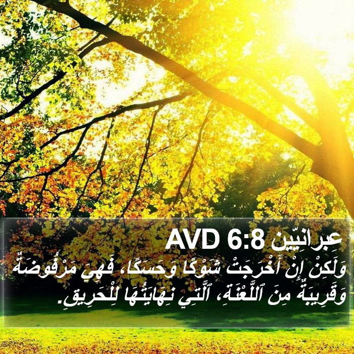 عِبرانِيّين 6:8 AVD Bible Study