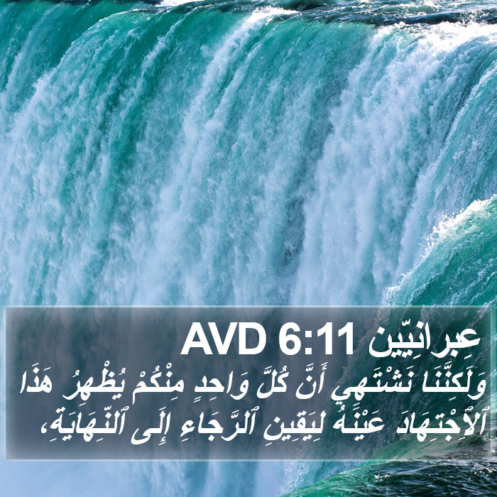 عِبرانِيّين 6:11 AVD Bible Study