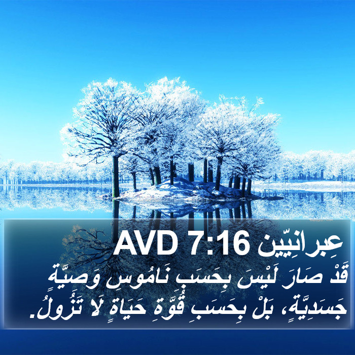 عِبرانِيّين 7:16 AVD Bible Study