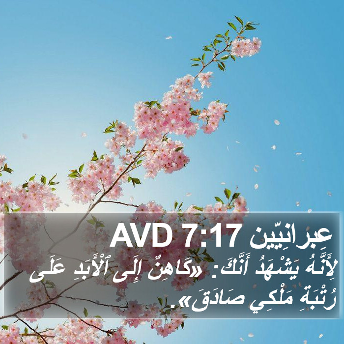 عِبرانِيّين 7:17 AVD Bible Study