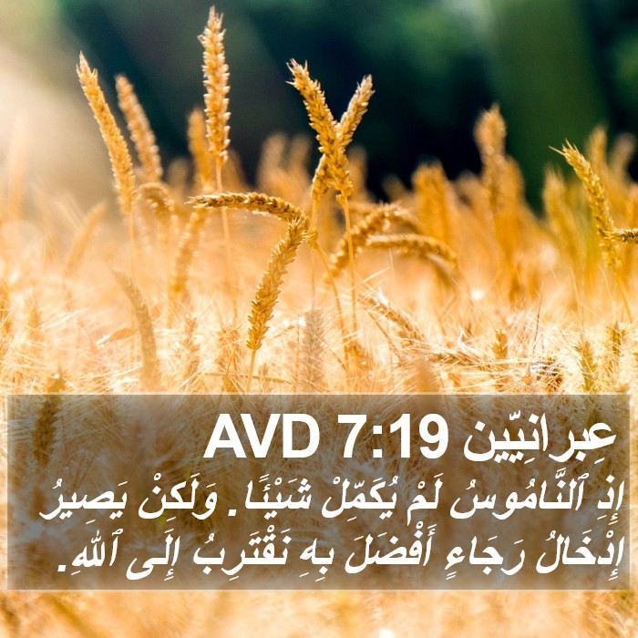 عِبرانِيّين 7:19 AVD Bible Study