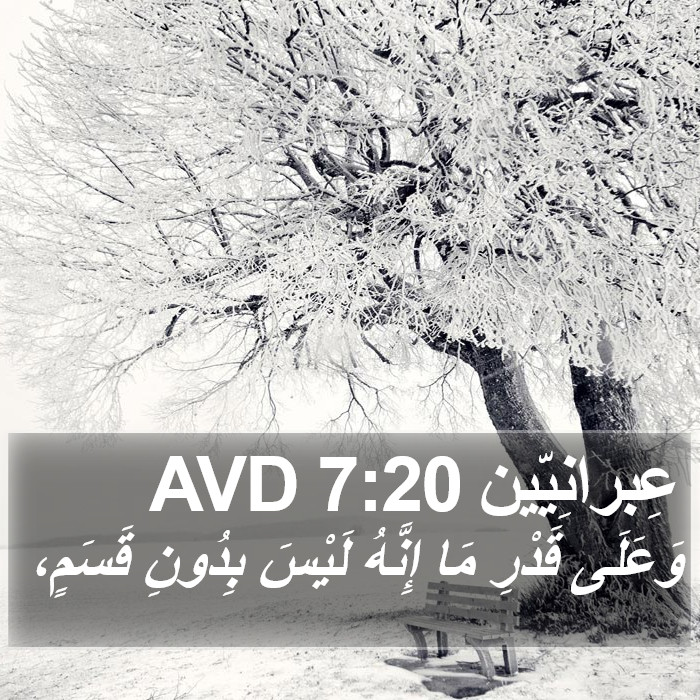 عِبرانِيّين 7:20 AVD Bible Study