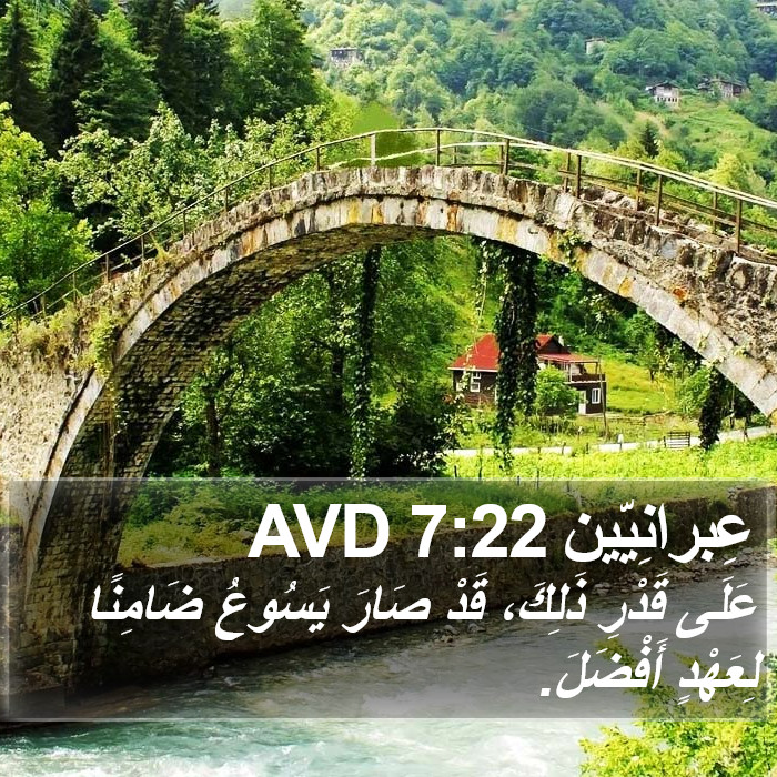 عِبرانِيّين 7:22 AVD Bible Study