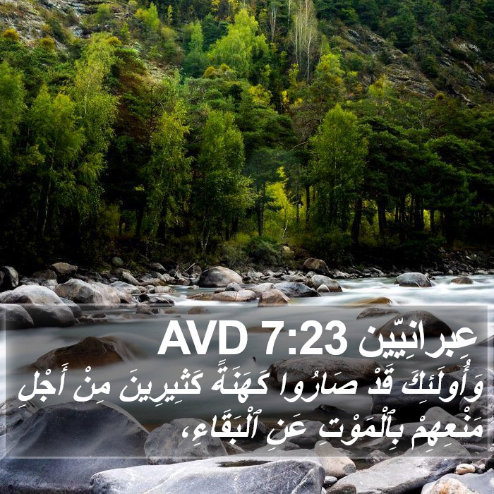 عِبرانِيّين 7:23 AVD Bible Study