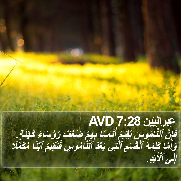 عِبرانِيّين 7:28 AVD Bible Study