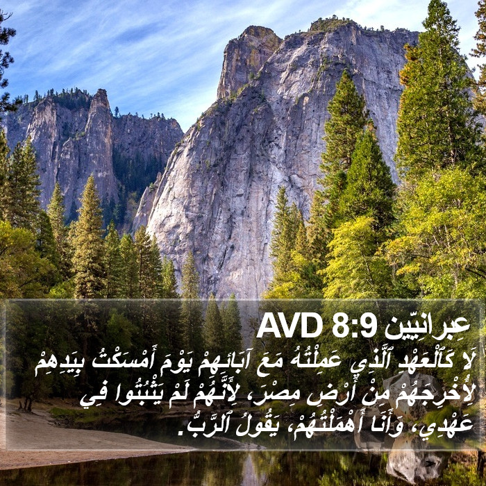 عِبرانِيّين 8:9 AVD Bible Study