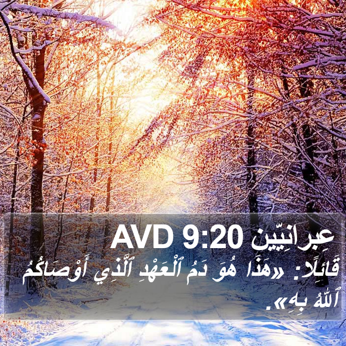 عِبرانِيّين 9:20 AVD Bible Study