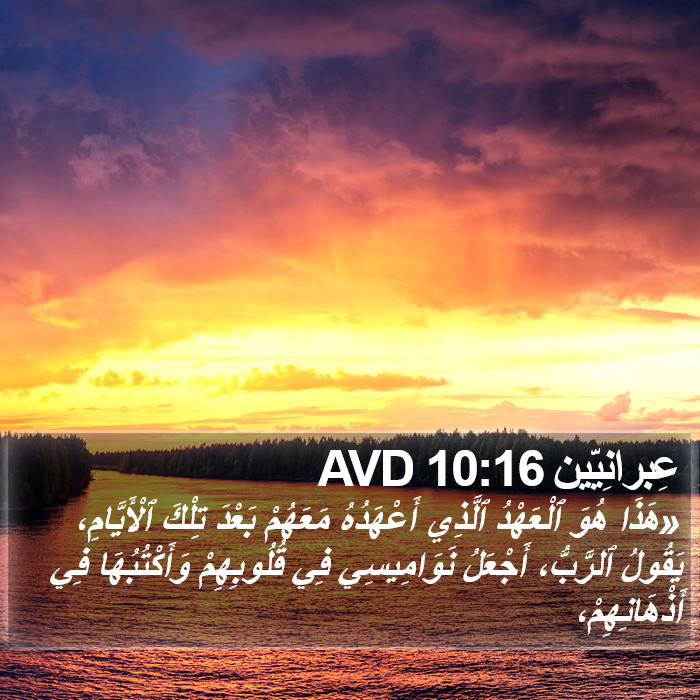 عِبرانِيّين 10:16 AVD Bible Study