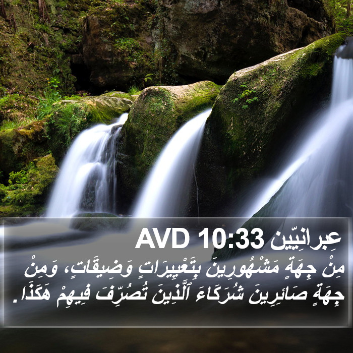 عِبرانِيّين 10:33 AVD Bible Study