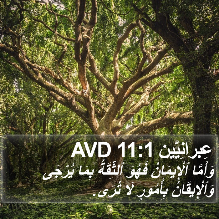 عِبرانِيّين 11:1 AVD Bible Study