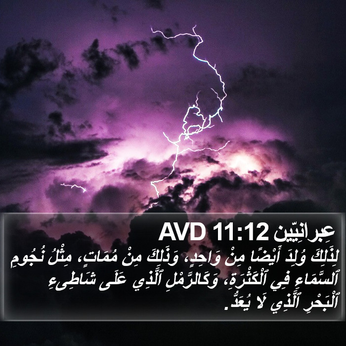 عِبرانِيّين 11:12 AVD Bible Study