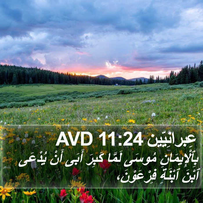 عِبرانِيّين 11:24 AVD Bible Study