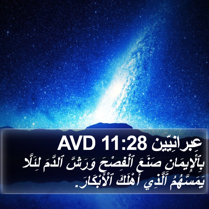 عِبرانِيّين 11:28 AVD Bible Study