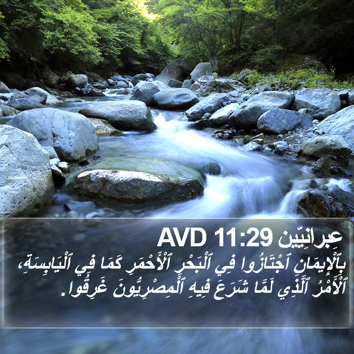 عِبرانِيّين 11:29 AVD Bible Study