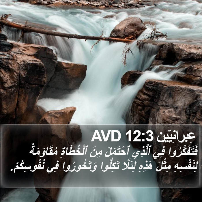 عِبرانِيّين 12:3 AVD Bible Study