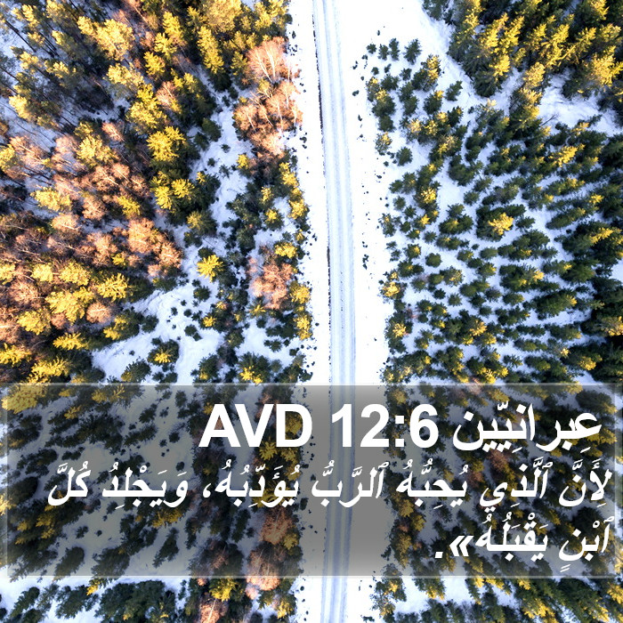 عِبرانِيّين 12:6 AVD Bible Study