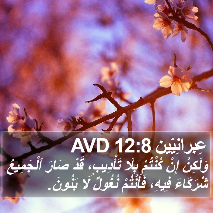 عِبرانِيّين 12:8 AVD Bible Study